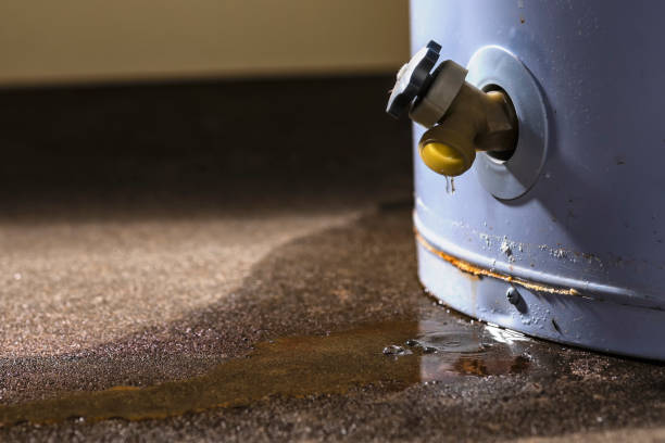 Best Basement water damage restoration  in Priceville, AL