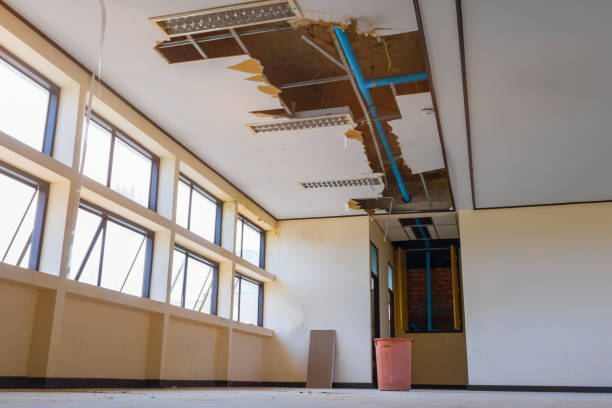 Best Water damage contractors near me  in Priceville, AL
