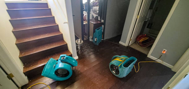 Best Carpet water damage restoration  in Priceville, AL
