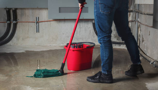Best Water damage restoration services  in Priceville, AL