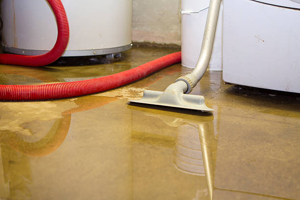 Best Ceiling water damage repair  in Priceville, AL